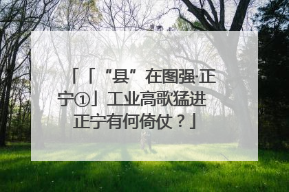 「“县”在图强·正宁①」工业高歌猛进 正宁有何倚仗？