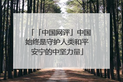 「中国网评」中国始终是守护人类和平安宁的中坚力量