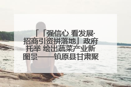 「强信心 看发展·招商引资拼落地」政府托举 绘出蔬菜产业新图景——镇原县甘肃聚广利现代设施蔬菜种植基地见闻