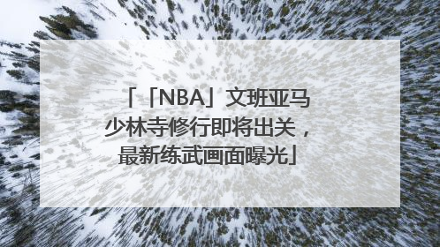 「NBA」文班亚马少林寺修行即将出关，最新练武画面曝光