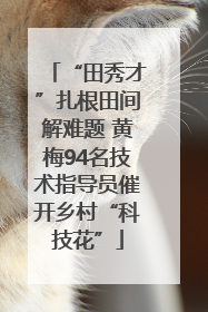 “田秀才”扎根田间解难题 黄梅94名技术指导员催开乡村“科技花”