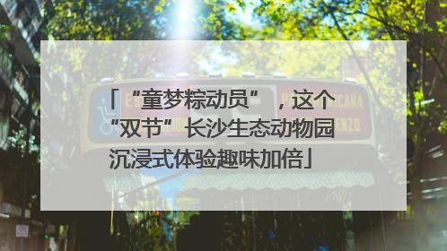 “童梦粽动员”，这个“双节”长沙生态动物园沉浸式体验趣味加倍