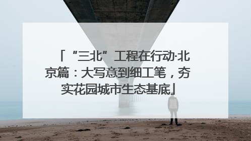 “三北”工程在行动·北京篇：大写意到细工笔，夯实花园城市生态基底