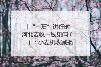 “三夏”进行时｜河北麦收一线见闻（一）：小麦机收减损“竞技” 农机高手麦田“过招”