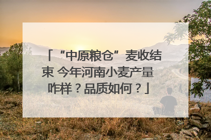 “中原粮仓”麦收结束 今年河南小麦产量咋样？品质如何？