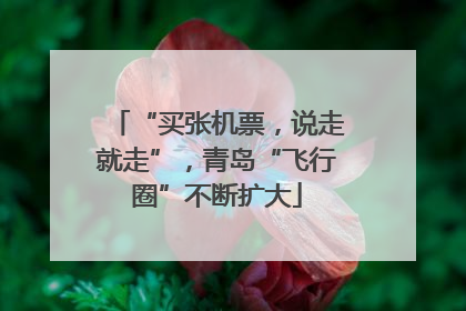 “买张机票，说走就走”，青岛“飞行圈”不断扩大