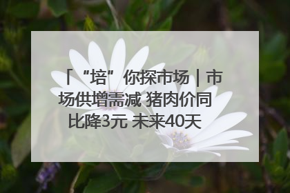 “培”你探市场｜市场供增需减 猪肉价同比降3元 未来40天便宜猪肉敞开吃