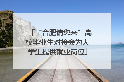 “合肥请您来”高校毕业生对接会为大学生提供就业岗位