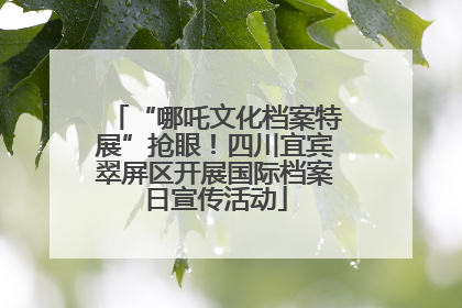 “哪吒文化档案特展”抢眼！四川宜宾翠屏区开展国际档案日宣传活动