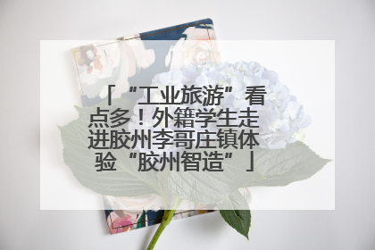 “工业旅游”看点多！外籍学生走进胶州李哥庄镇体验“胶州智造”