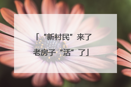 “新村民”来了 老房子“活”了