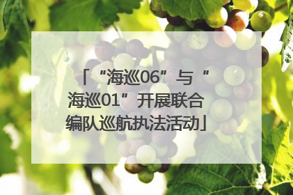 “海巡06”与“海巡01”开展联合编队巡航执法活动