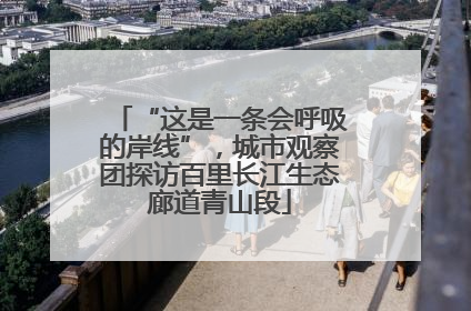 “这是一条会呼吸的岸线”，城市观察团探访百里长江生态廊道青山段