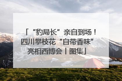 “豹局长”亲自到场！四川攀枝花“自带香味”亮相西博会丨图集