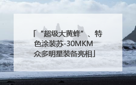 “超级大黄蜂”、特色涂装苏-30MKM 众多明星装备亮相