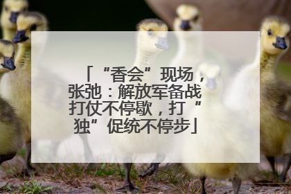 “香会”现场，张弛：解放军备战打仗不停歇，打“独”促统不停步