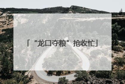 “龙口夺粮”抢收忙