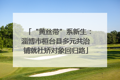 “黄丝带”系新生：淄博市桓台县多元共治铺就社矫对象回归路