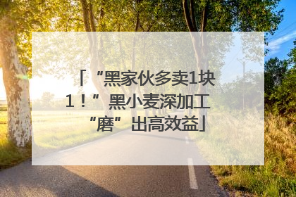 “黑家伙多卖1块1！”黑小麦深加工“磨”出高效益