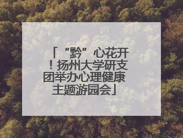 “黔”心花开！扬州大学研支团举办心理健康主题游园会