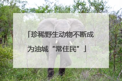 珍稀野生动物不断成为油城“常住民”