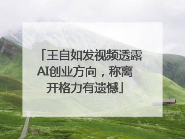 王自如发视频透露AI创业方向，称离开格力有遗憾