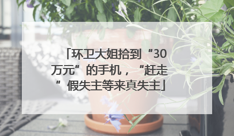 环卫大姐拾到“30万元”的手机，“赶走”假失主等来真失主