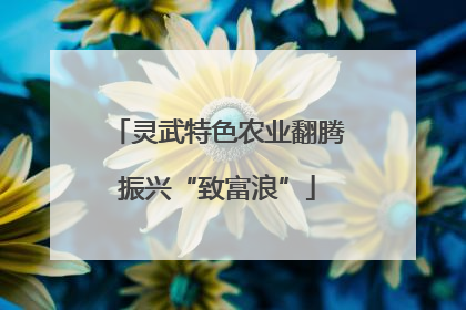 灵武特色农业翻腾振兴“致富浪”