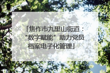 焦作市九里山街道：“数字赋能”助力党员档案电子化管理