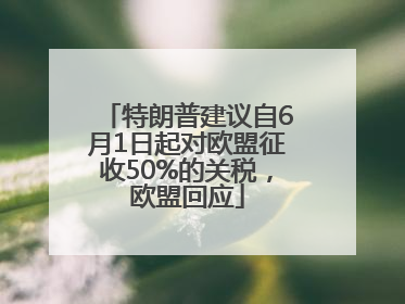 特朗普建议自6月1日起对欧盟征收50%的关税，欧盟回应