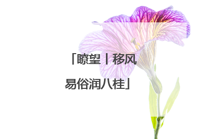 瞭望丨移风易俗润八桂