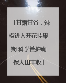 甘肃甘谷：辣椒进入开花挂果期 科学管护确保大田丰收
