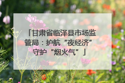 甘肃省临泽县市场监管局：护航“夜经济” 守护“烟火气”