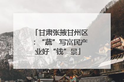 甘肃张掖甘州区：“蔬”写富民产业好“钱”景