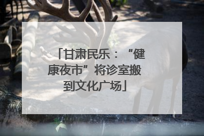 甘肃民乐：“健康夜市”将诊室搬到文化广场