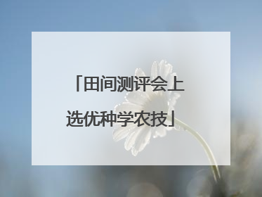 田间测评会上选优种学农技