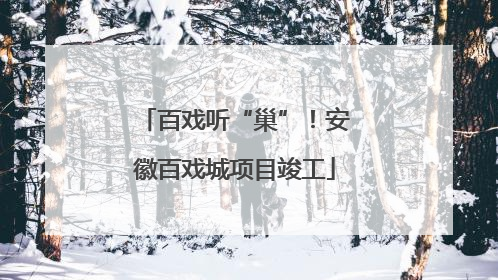 百戏听“巢”！安徽百戏城项目竣工