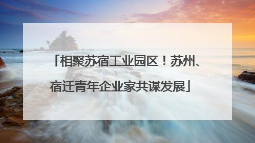 相聚苏宿工业园区！苏州、宿迁青年企业家共谋发展