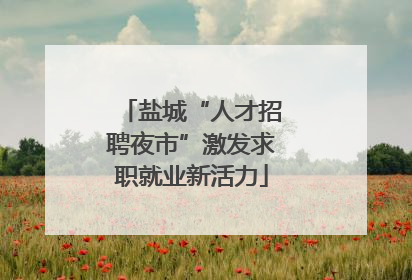 盐城“人才招聘夜市”激发求职就业新活力