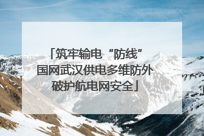 筑牢输电“防线” 国网武汉供电多维防外破护航电网安全