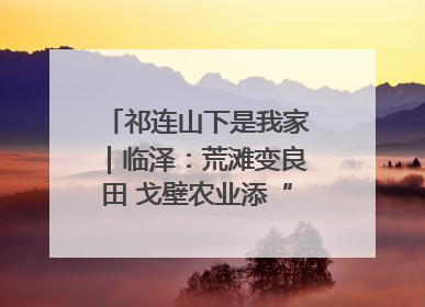 祁连山下是我家｜临泽：荒滩变良田 戈壁农业添“绿”生“金”