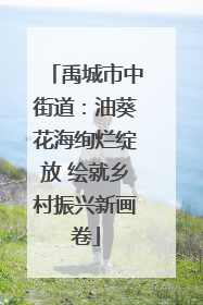 禹城市中街道：油葵花海绚烂绽放 绘就乡村振兴新画卷