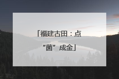 福建古田：点“菌”成金