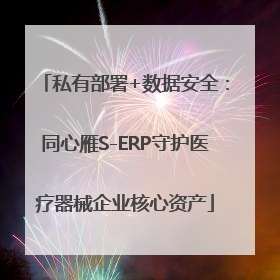 私有部署+数据安全：同心雁S-ERP守护医疗器械企业核心资产