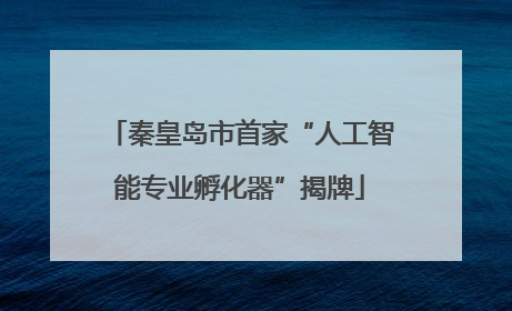 秦皇岛市首家“人工智能专业孵化器”揭牌