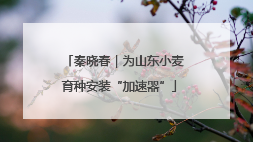 秦晓春｜为山东小麦育种安装“加速器”