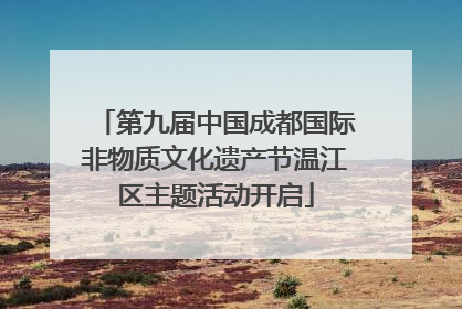 第九届中国成都国际非物质文化遗产节温江区主题活动开启