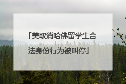 美取消哈佛留学生合法身份行为被叫停