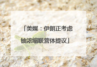 美媒：伊朗正考虑铀浓缩联营体提议