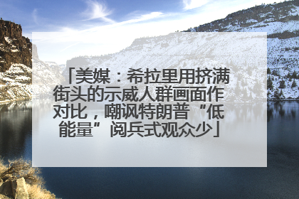 美媒：希拉里用挤满街头的示威人群画面作对比，嘲讽特朗普“低能量”阅兵式观众少